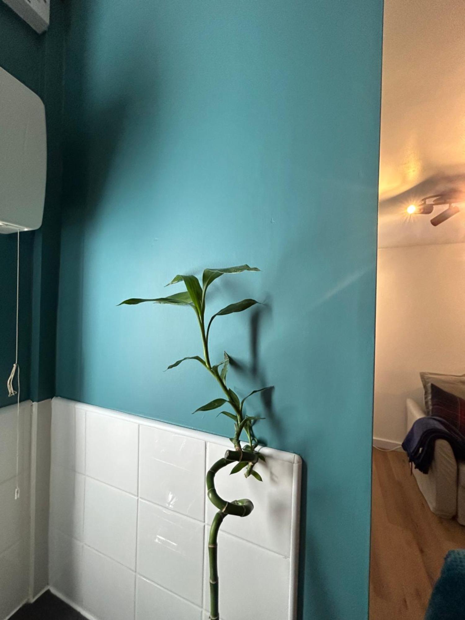 Woodhouse Apartment Leeds  Esterno foto